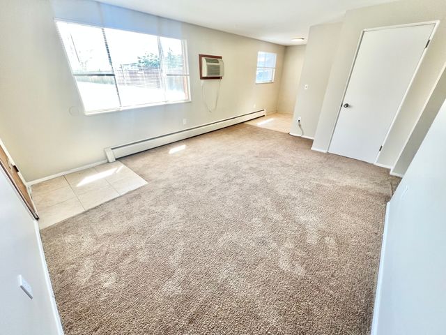 Inviting sunlit living room with plush carpeting and large window, offering a cozy and warm atmosphere.