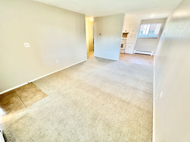 Bright and inviting open-concept living area with plush carpeting, leading to a cozy kitchen with white cabinetry and large window.