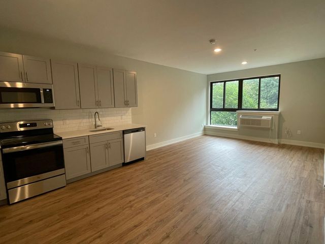 Bright open-plan living area with modern kitchen, featuring stainless steel appliances and large windows with a serene green view.