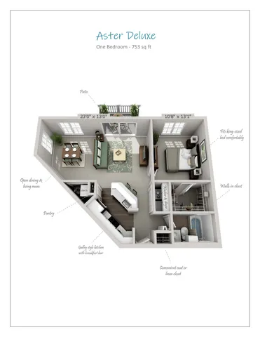 Aster Deluxe 3D floor plan showcasing a spacious one-bedroom apartment with 753 sq ft, featuring an open dining and living area, a galley-style kitchen with breakfast bar, a patio, and a walk-in closet.