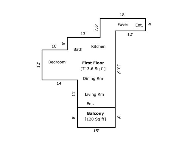 Modern floor plan showcasing a spacious layout with one bedroom, a bath, kitchen, dining room, living room, and a large balcony. First floor size 713.6 sq ft with an additional 120 sq ft balcony, blending comfort and style.