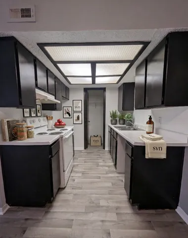 Chic galley kitchen with sleek black cabinets, modern appliances, and stylish decor, offering ample counter space and bright lighting.