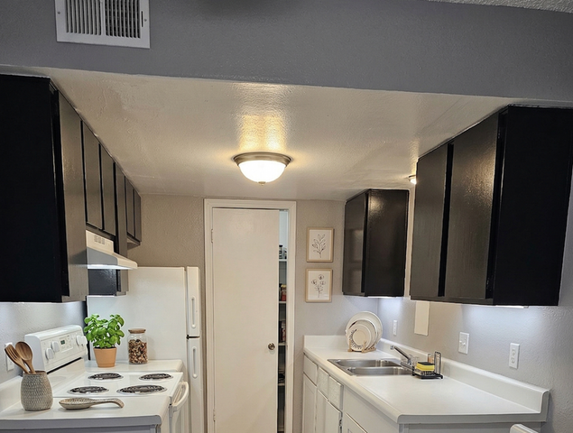 Modern kitchen with sleek black cabinets, white countertops, and bright lighting, offering a stylish and functional cooking space.