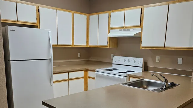 Spacious kitchen with modern appliances, sleek countertops, and ample cabinetry in a cozy apartment.