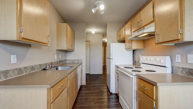 Modern kitchen with sleek wooden cabinets, spacious countertops, and bright lighting, perfect for culinary enthusiasts.