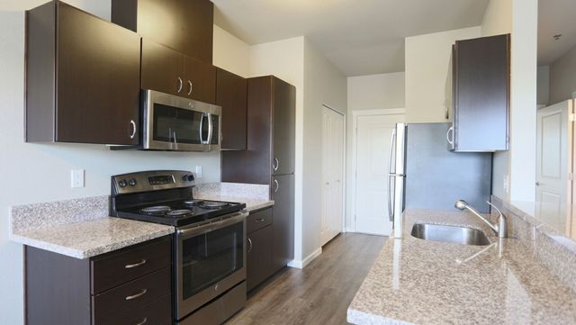 Modern kitchen with sleek dark wood cabinets, stainless steel appliances, and elegant granite countertops.