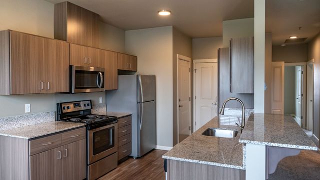 Modern kitchen with sleek wooden cabinetry, granite countertops, stainless steel appliances, and a stylish breakfast bar.