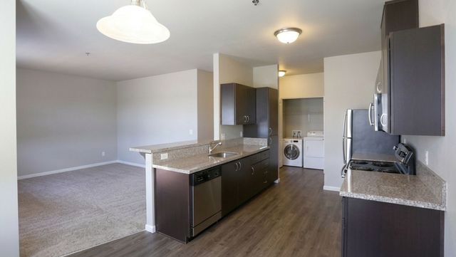Modern open-concept kitchen featuring sleek dark cabinets, granite countertops, and stainless steel appliances next to a carpeted living area.