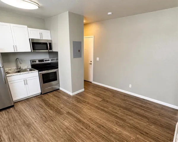 Modern apartment kitchen with sleek stainless steel appliances and elegant wood flooring.