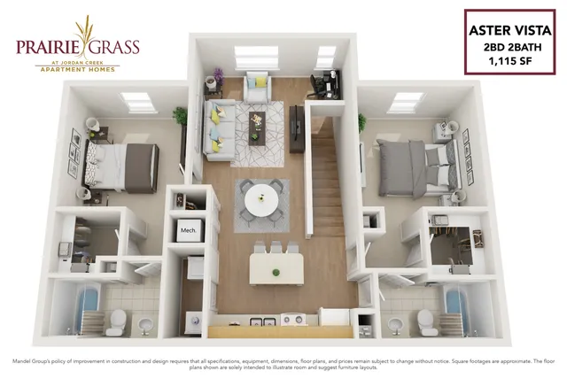 Aster Vista