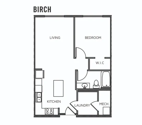 Birch