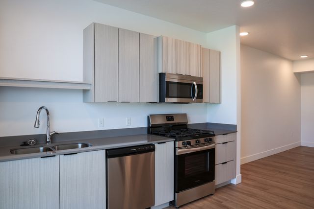 Sleek modern kitchen with stainless steel appliances, elegant cabinetry, and ample countertop space.