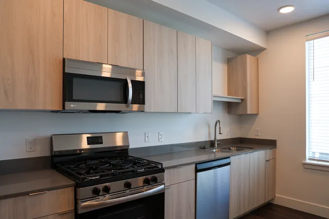 Modern kitchen with sleek stainless steel appliances, elegant wood cabinetry, and ample natural light.