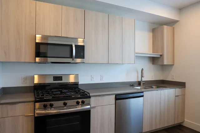 Modern kitchen with sleek stainless steel appliances, elegant cabinetry, and a stylish dual sink setup.