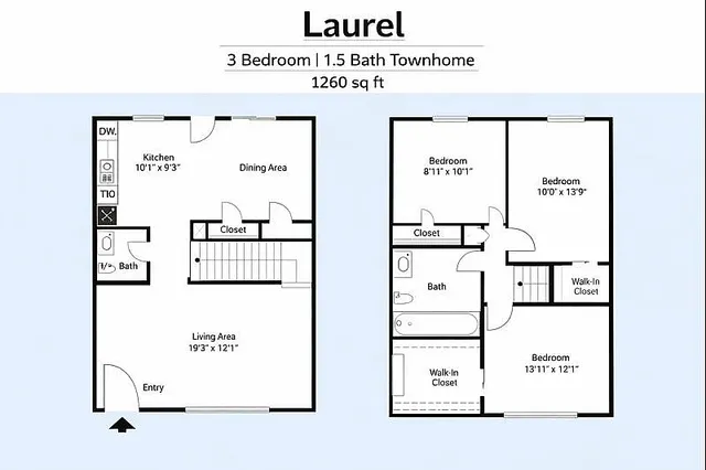Laurel