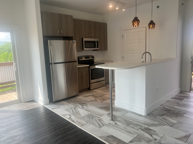 Modern kitchen with stainless steel appliances, stylish pendant lighting, and elegant tile flooring, leading to a bright patio view.