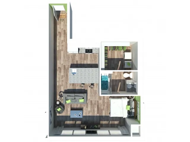 Elm