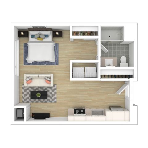 Modern studio apartment floor plan with a spacious bedroom, open living area, and sleek kitchen. Includes a stylish bathroom and ample closet space.