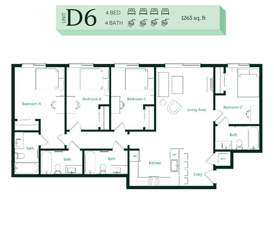 D6