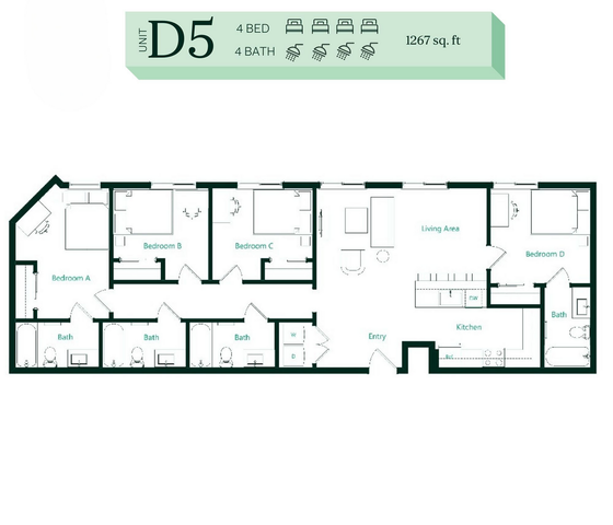 D5