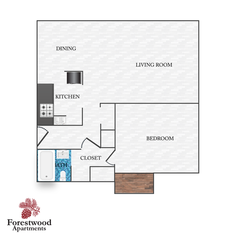 Floor Plan Photos 1x1