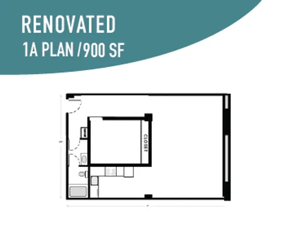 Renovated 1 BR / 1 BA - 900 SF