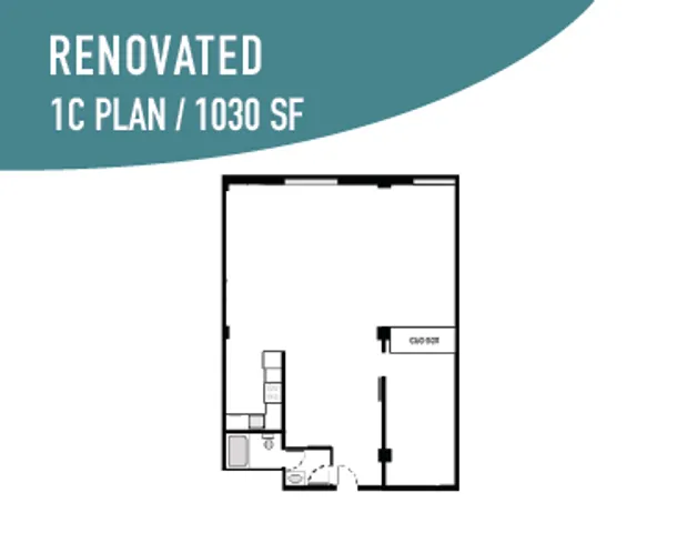 Renovated 1 BR / 1 BA - 1030 SF