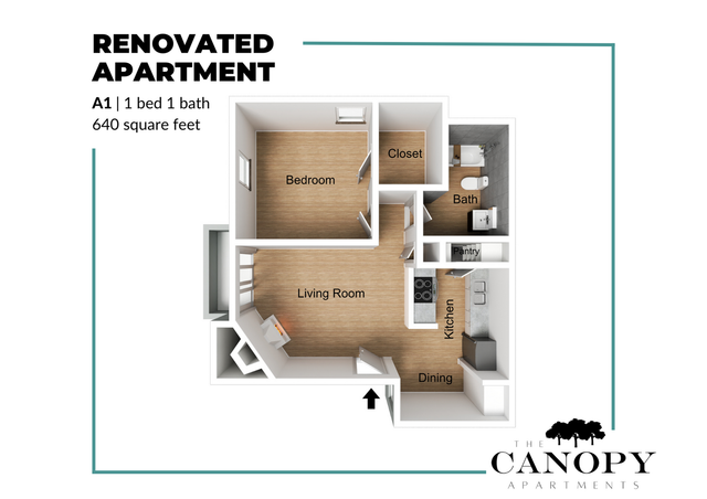 Chic renovated apartment floor plan with 1 bedroom, 1 bath, and an open-concept living area, spanning 640 square feet at The Canopy Apartments.