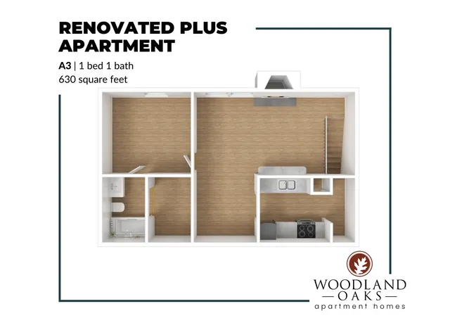 A3 Renovated Plus Floor Plan