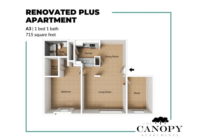 Elegant floor plan of The Canopy Apartments showcasing a 1 bed, 1 bath design with a walk-in closet, modern kitchen, and cozy study area in 715 square feet.