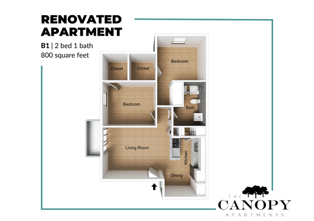 Modern renovated apartment floor plan B1 featuring 2 bedrooms, 1 bath, 800 sq ft, with a cozy living room, efficient kitchen, and dining area at The Canopy Apartments.