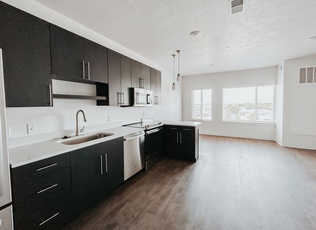 Modern and spacious kitchen with sleek black cabinetry, stainless steel appliances, and a large window allowing natural light.