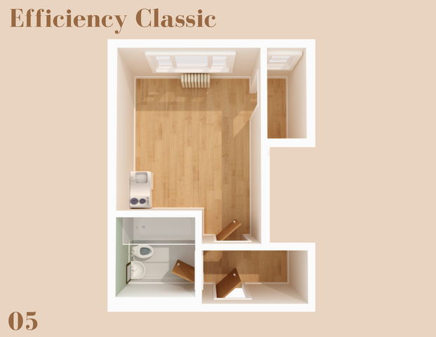 The efficiency classic floorplan is 248 sq. ft.