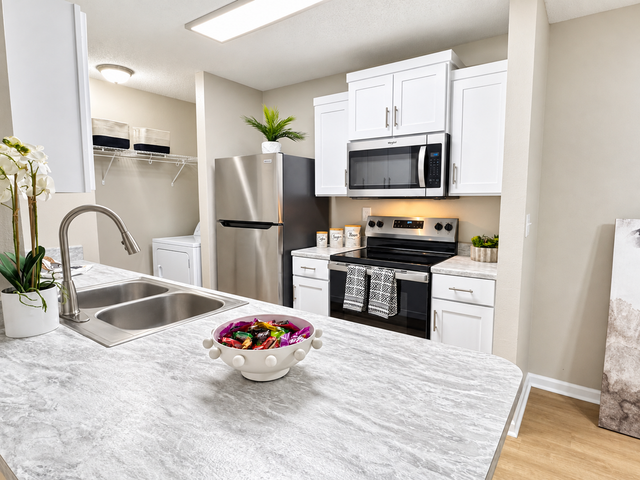 Modern kitchen with sleek countertops, stainless steel appliances, and elegant decor, featuring convenient in-unit laundry facilities.
