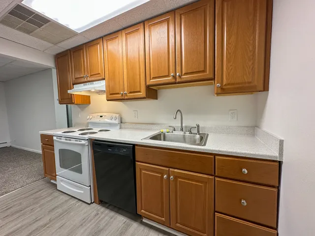 Modern kitchen featuring warm wooden cabinets, sleek countertops, and equipped with a stove and dishwasher, ideal for culinary enthusiasts.