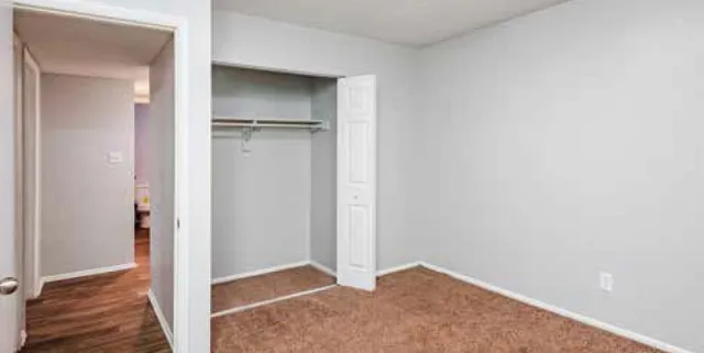 Bright bedroom with open closet, cozy carpet flooring, and neutral walls offering a welcoming ambiance.