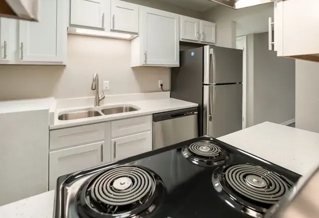 Modern kitchen with sleek appliances, white cabinetry, and spacious countertops.