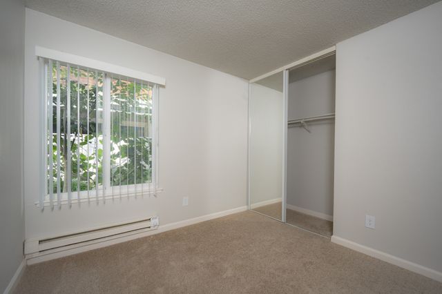 Bright bedroom with a large window, floor-to-ceiling mirrored closet, and cozy carpet flooring.