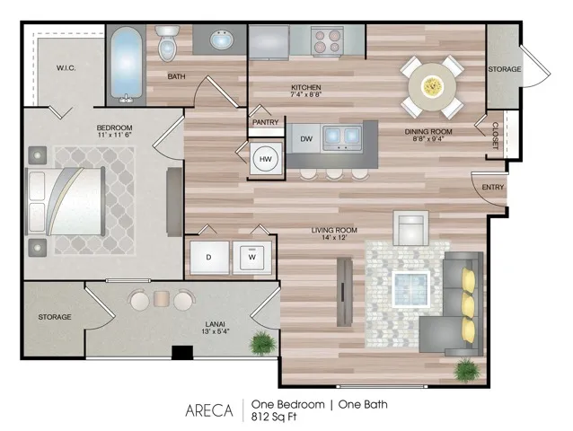 Areca
