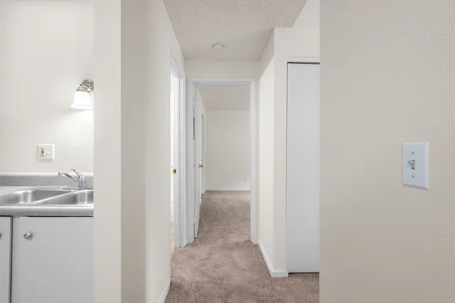 Bright apartment hallway with cozy carpet leading to bedrooms and a glimpse of a modern kitchen with a sleek sink and lighting.