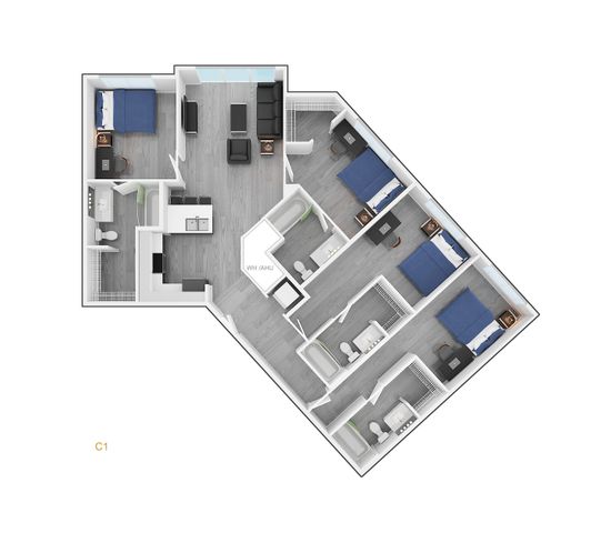 C1