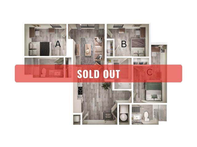 C3 Sold Out