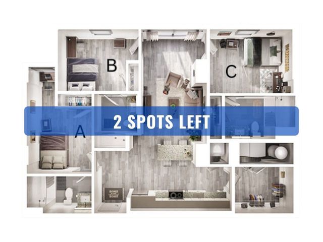 Apella C2 Spots Left