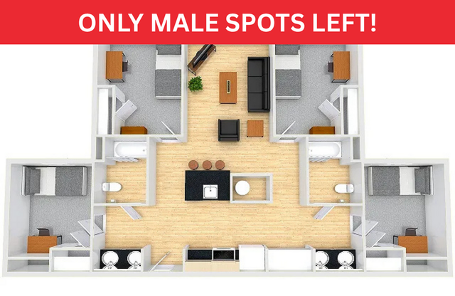 Modern floor plan showcasing a symmetrical 4-bedroom apartment with shared common area and kitchen, emphasizing stylish design and efficient use of space.
