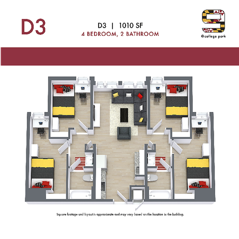 D3