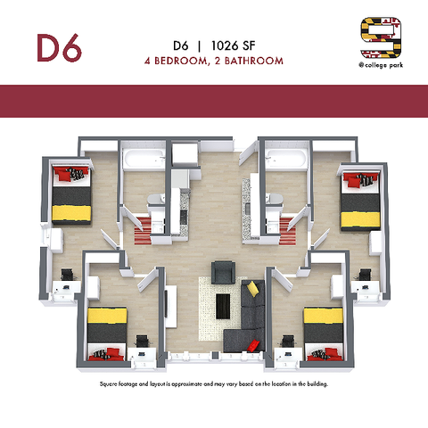 D6