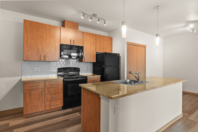 Modern kitchen with stylish wooden cabinets, granite countertops, and sleek black appliances.