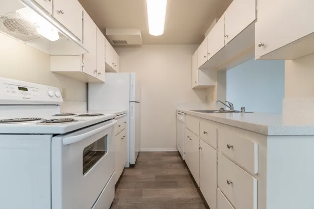 Bright modern kitchen with sleek white cabinetry, electric stove, and spacious countertops, perfect for culinary enthusiasts.