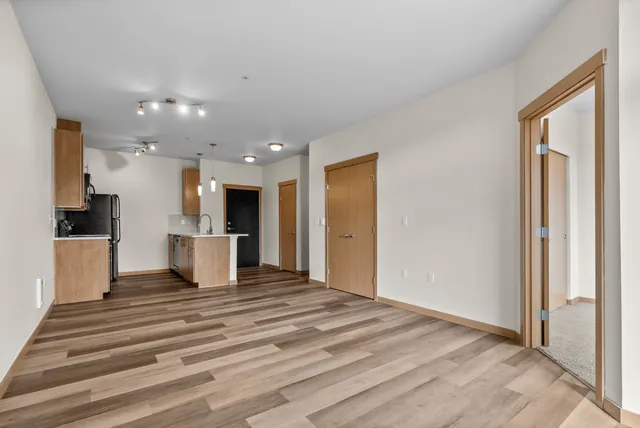 Modern open-plan living space featuring wood-style flooring, a cozy kitchen with sleek appliances, and stylish lighting fixtures.