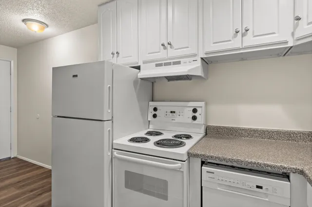 Modern kitchen with white cabinetry, sleek countertops, and integrated appliances for a clean, functional look.